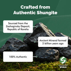 Shungite World closeup pyramid reveals natural carbon-rich texture.