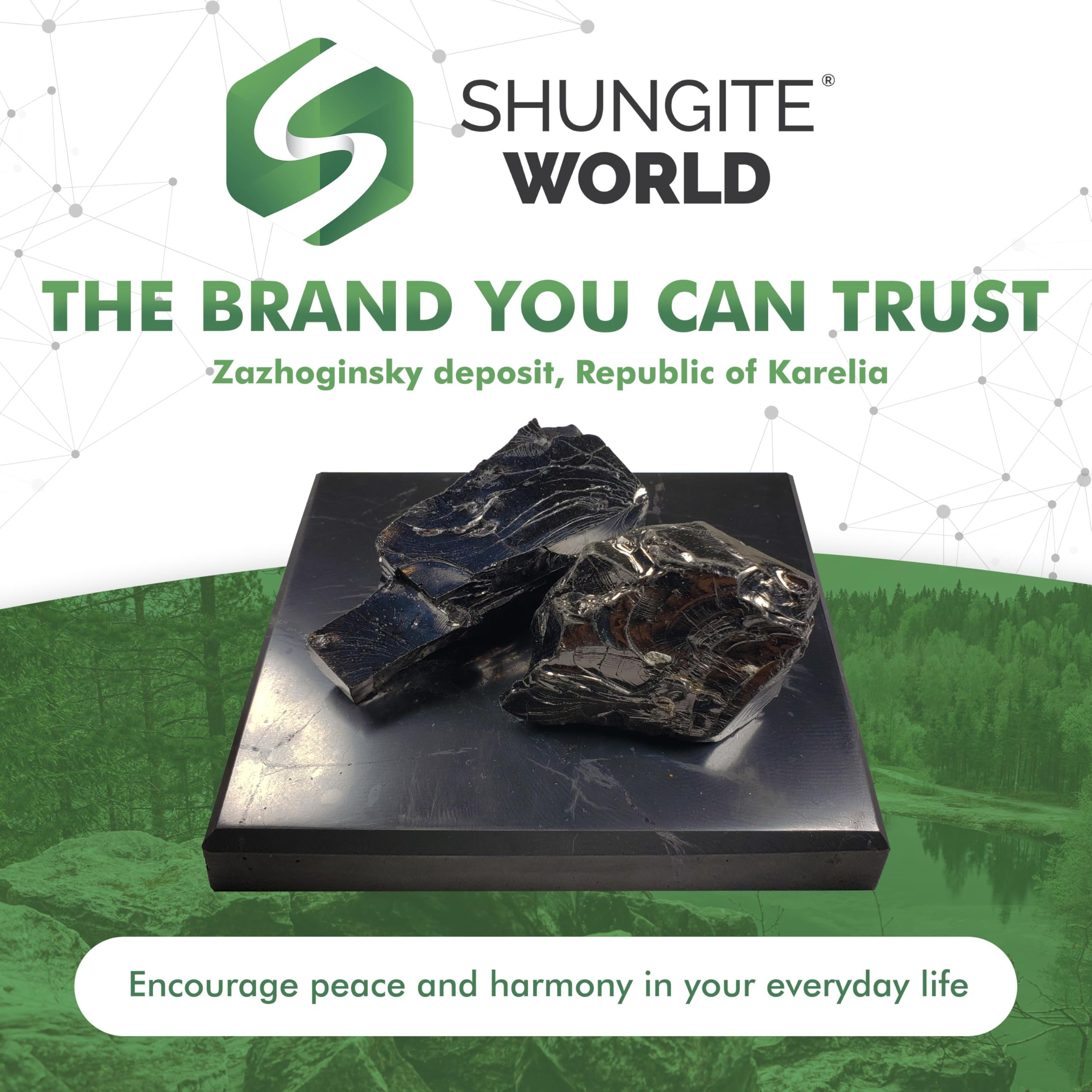Shungite World crystal plate decor on a shelf or desk