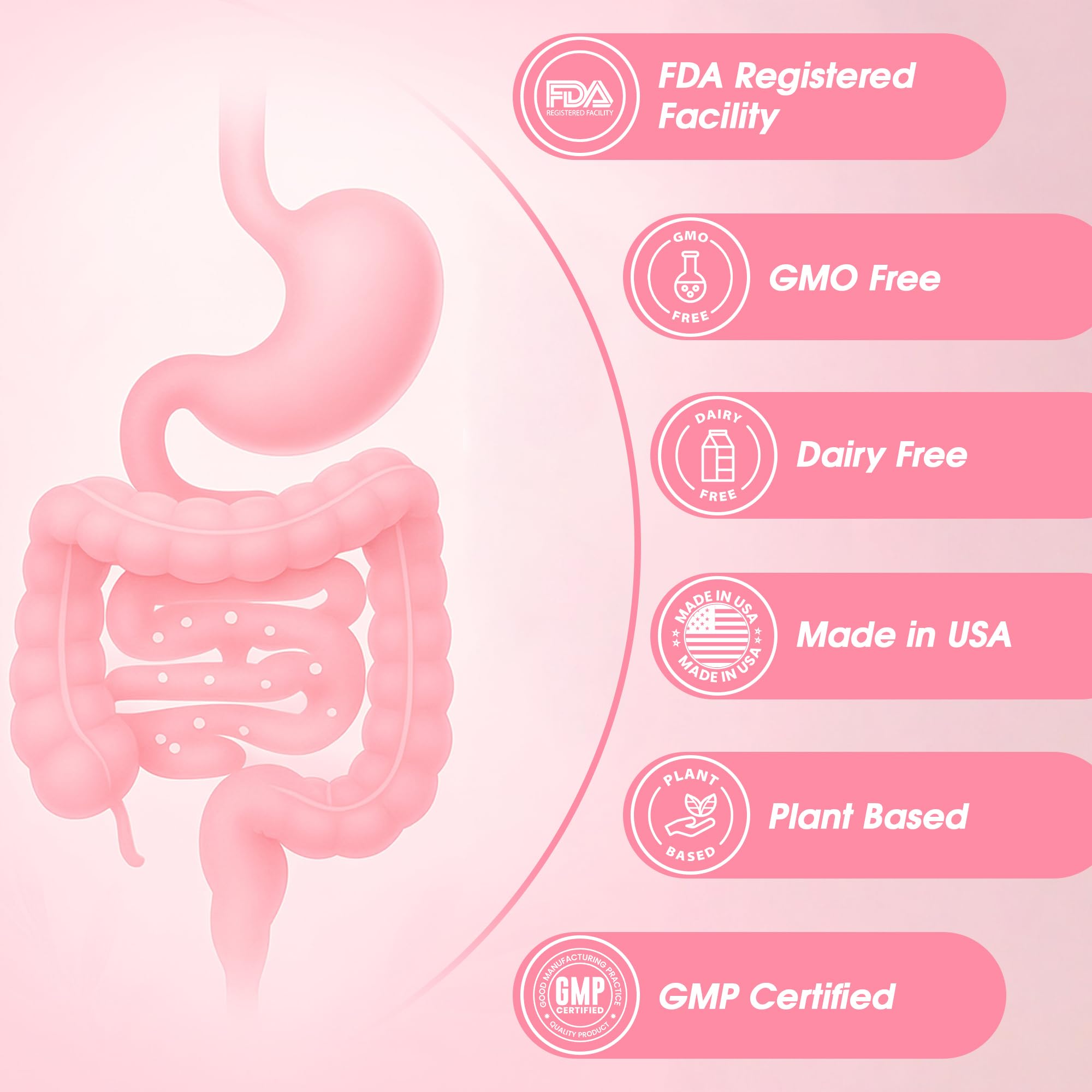 Digestive enzymes and Jerusalem Artichoke prebiotics shown in the ingredient section