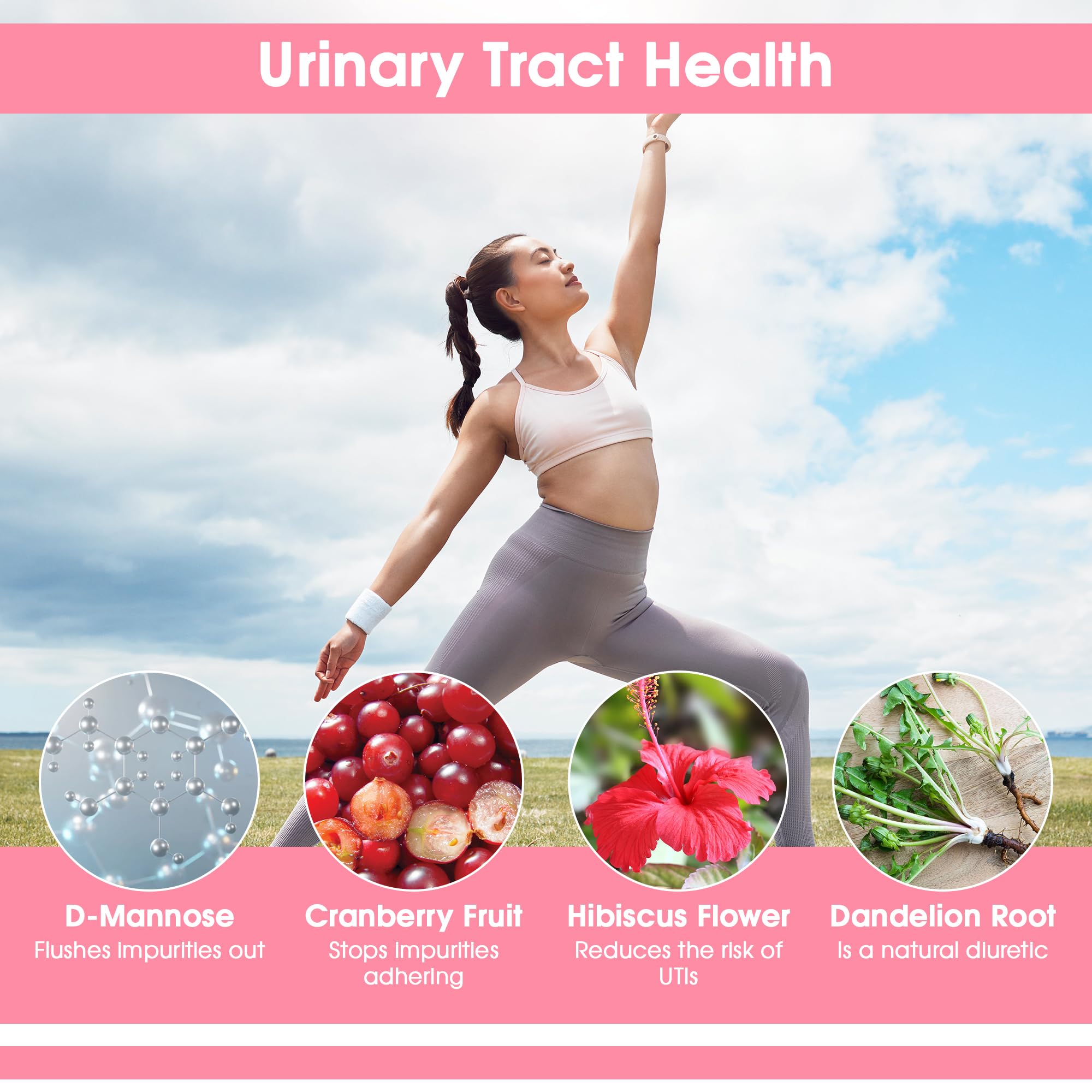 Herbal blends like Hibiscus, Dandelion, and Ginger illustrated for wellness support