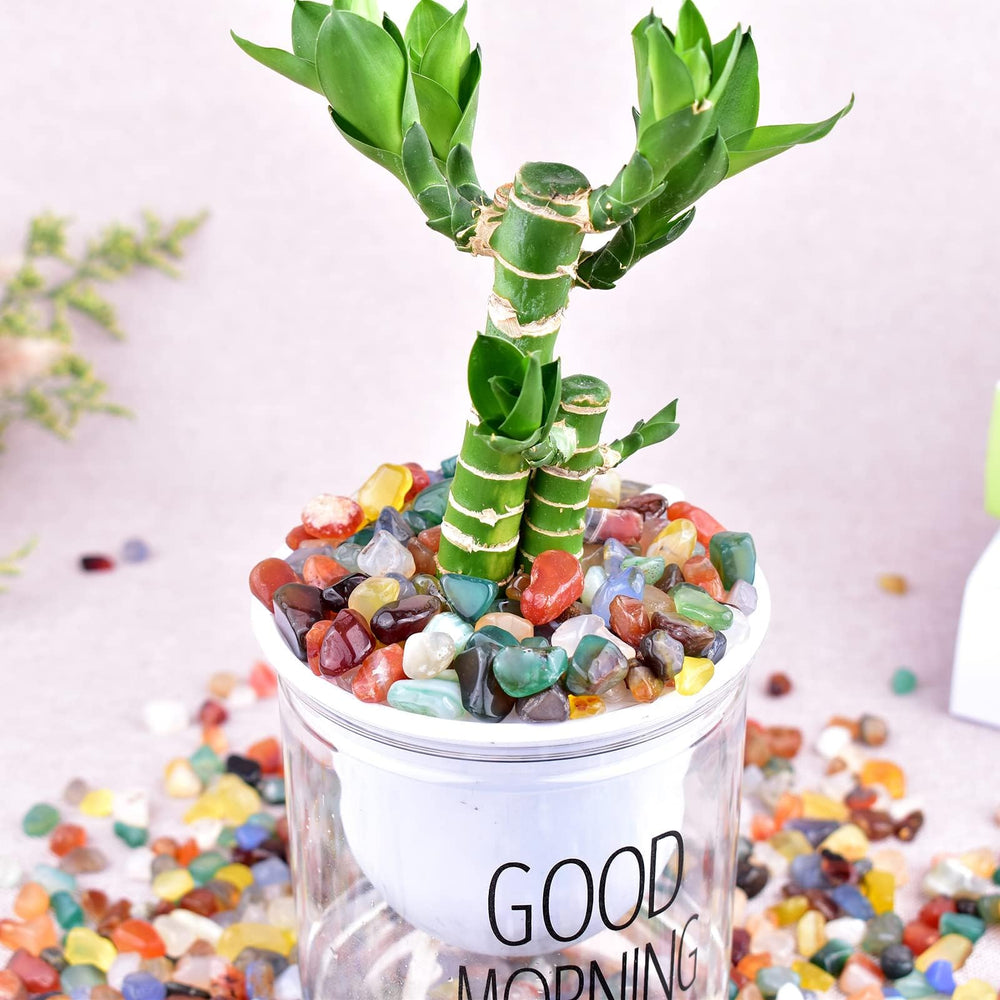 SigMntun crystal chips ideal for decor and DIY craft projects