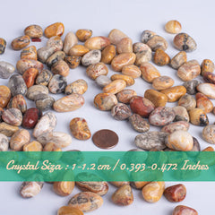 SigMntun handpicked tumbled stones for crystal healing decor and craft projects.