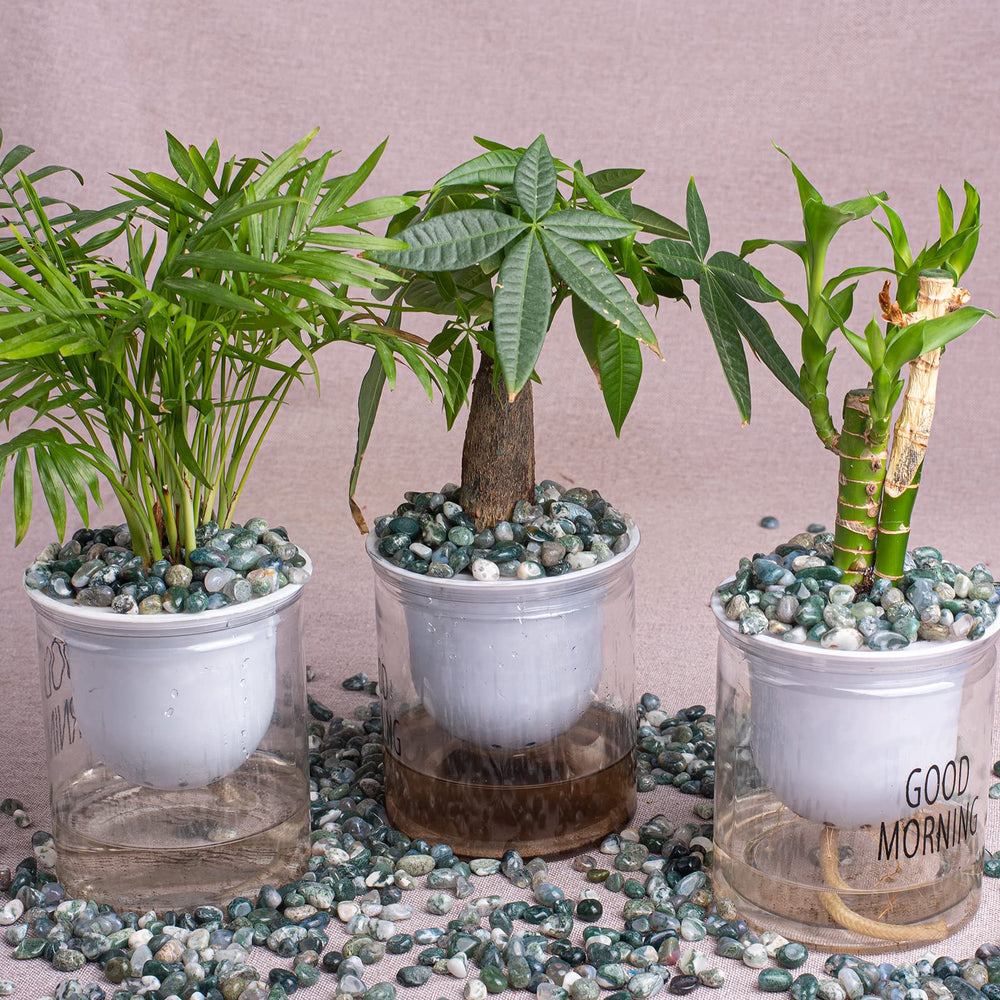SigMntun moss agate chips used as decorative accents in decor setups.