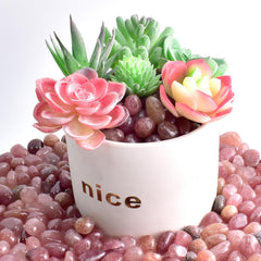 SigMntun rose hued quartz chips great for crystal grids and mindful décor.