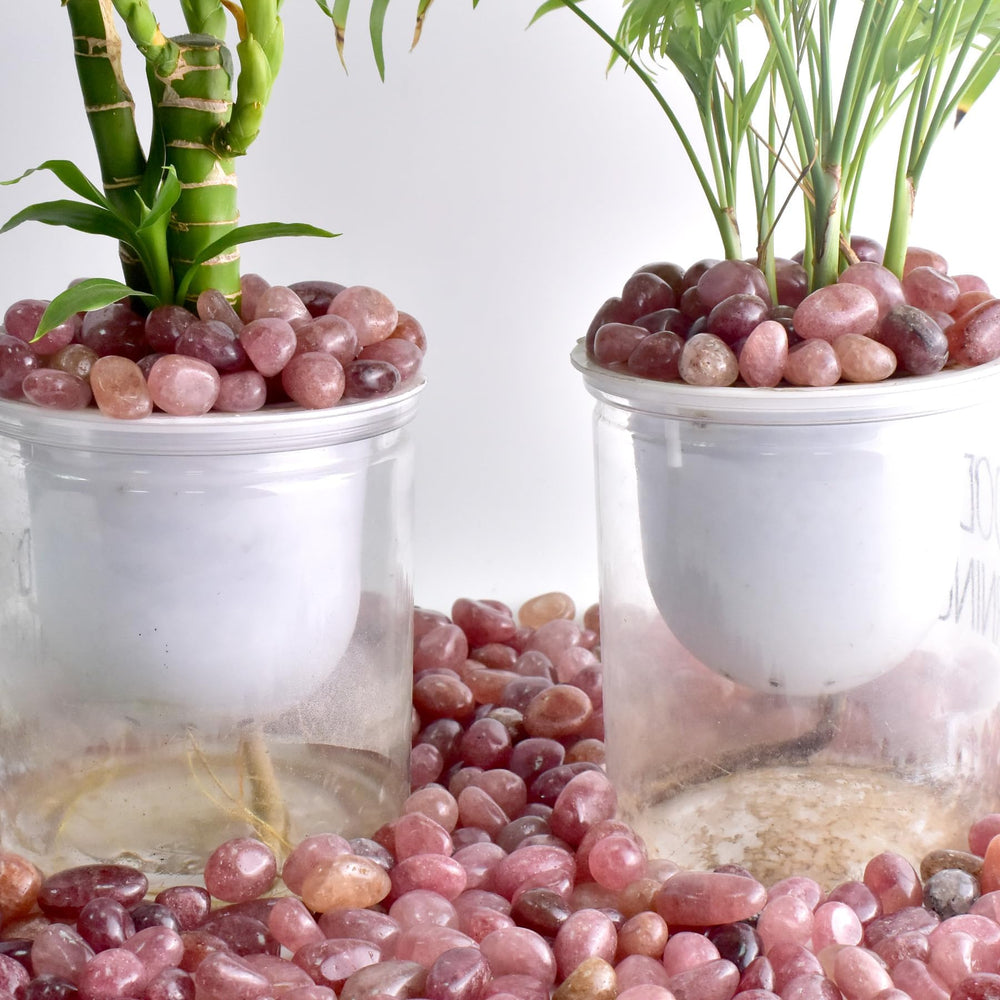 SigMntun rosy quartz chips for unique home accents and gifts.