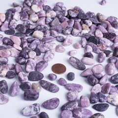 SigMntun handpicked tumbled Lepidolite pebbles suitable for Reiki practice.