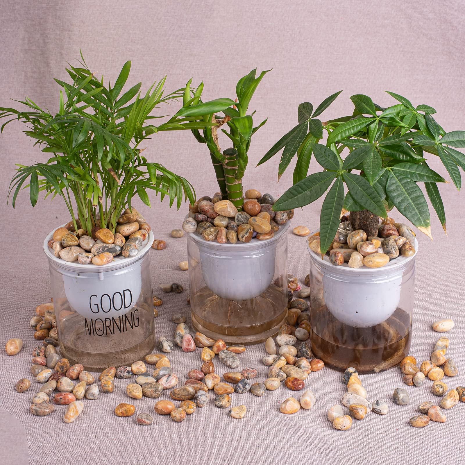 SigMntun versatile agate chips for jewelry making and decorative displays.