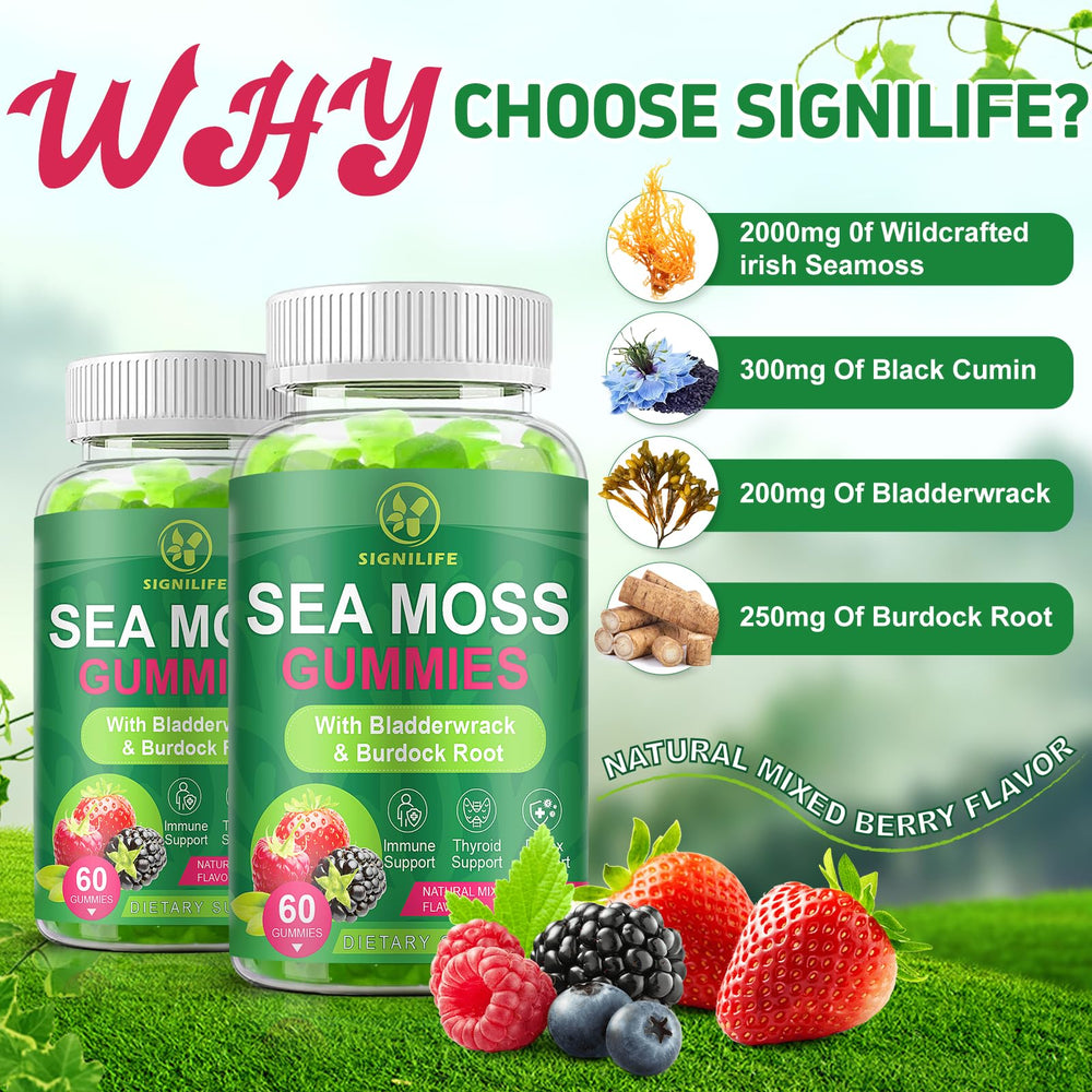 SIGNILIFE Sea Moss Gummies travel-friendly packaging ideal for on-the-go immune support.