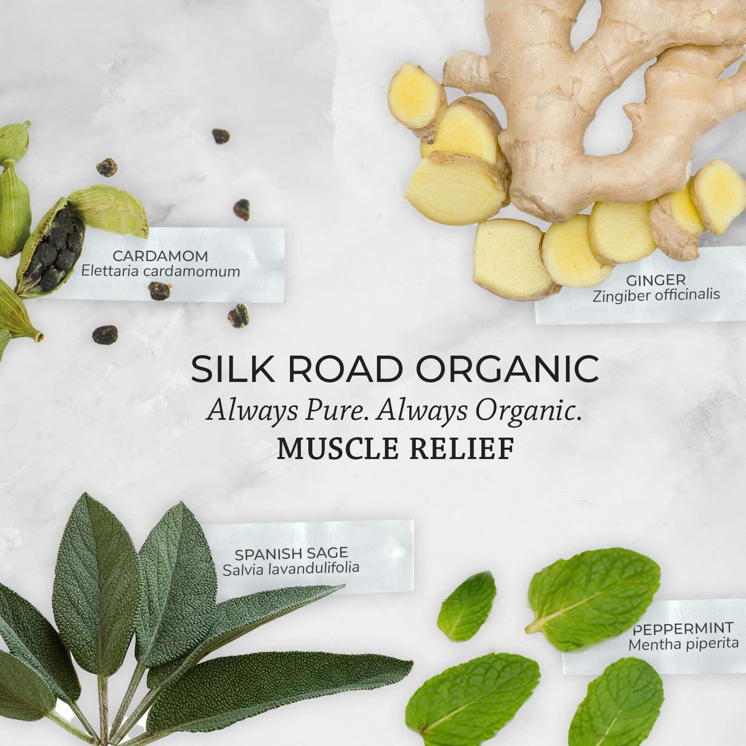 Silk Road Organic Muscle Relief bottle close-up highlights pre-diluted formula for safe use