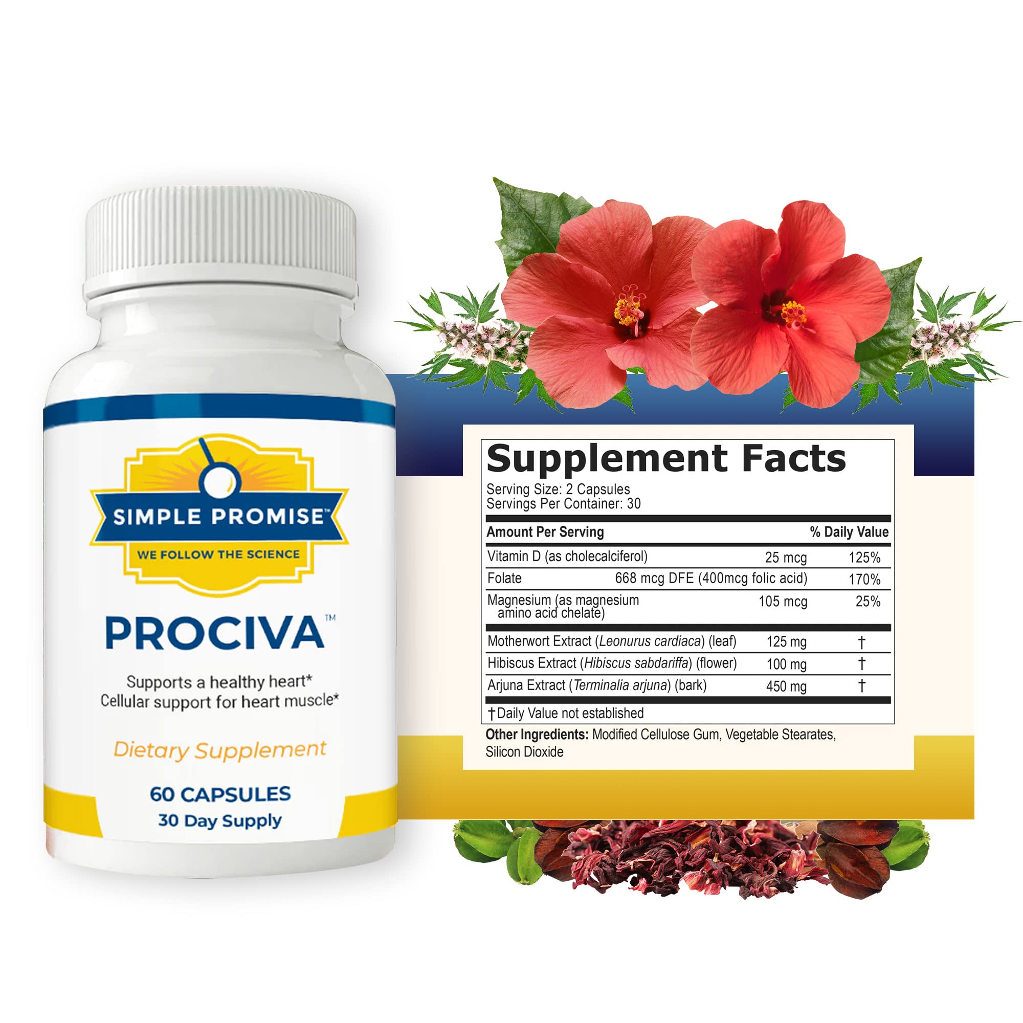 Prociva arjuna bark extract close-up highlighting heart-friendly herb.
