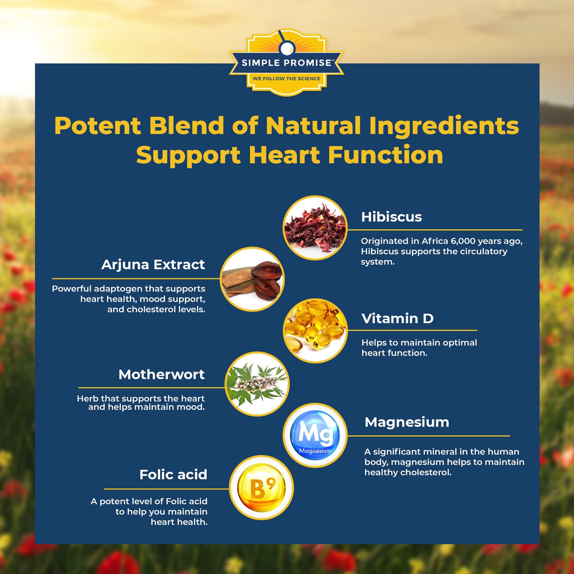 Prociva capsules with vitamin D and folic acid for balanced wellness.