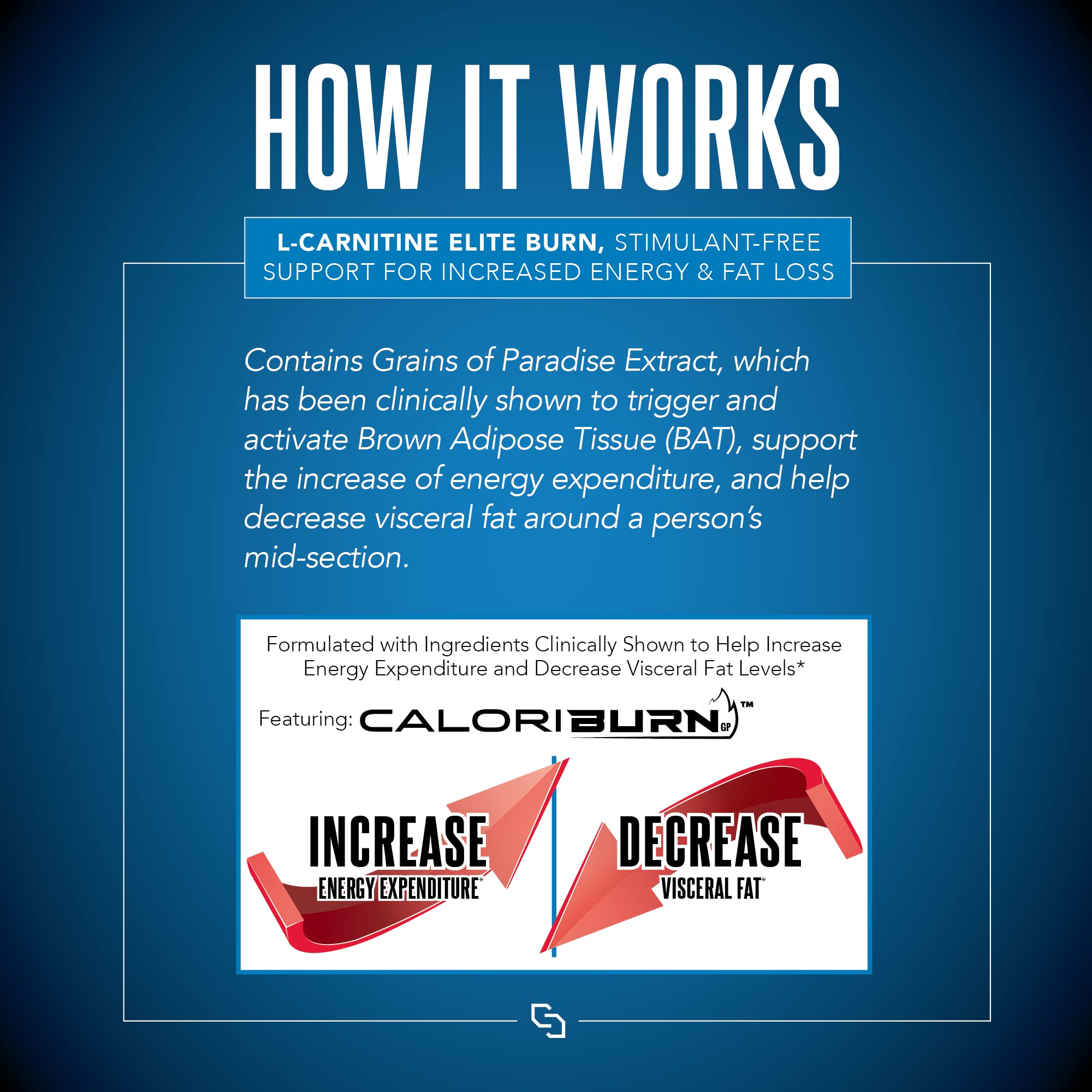 SIRENLABS L-Carnitine Elite Burn Strawberry Blast flavor over ice.