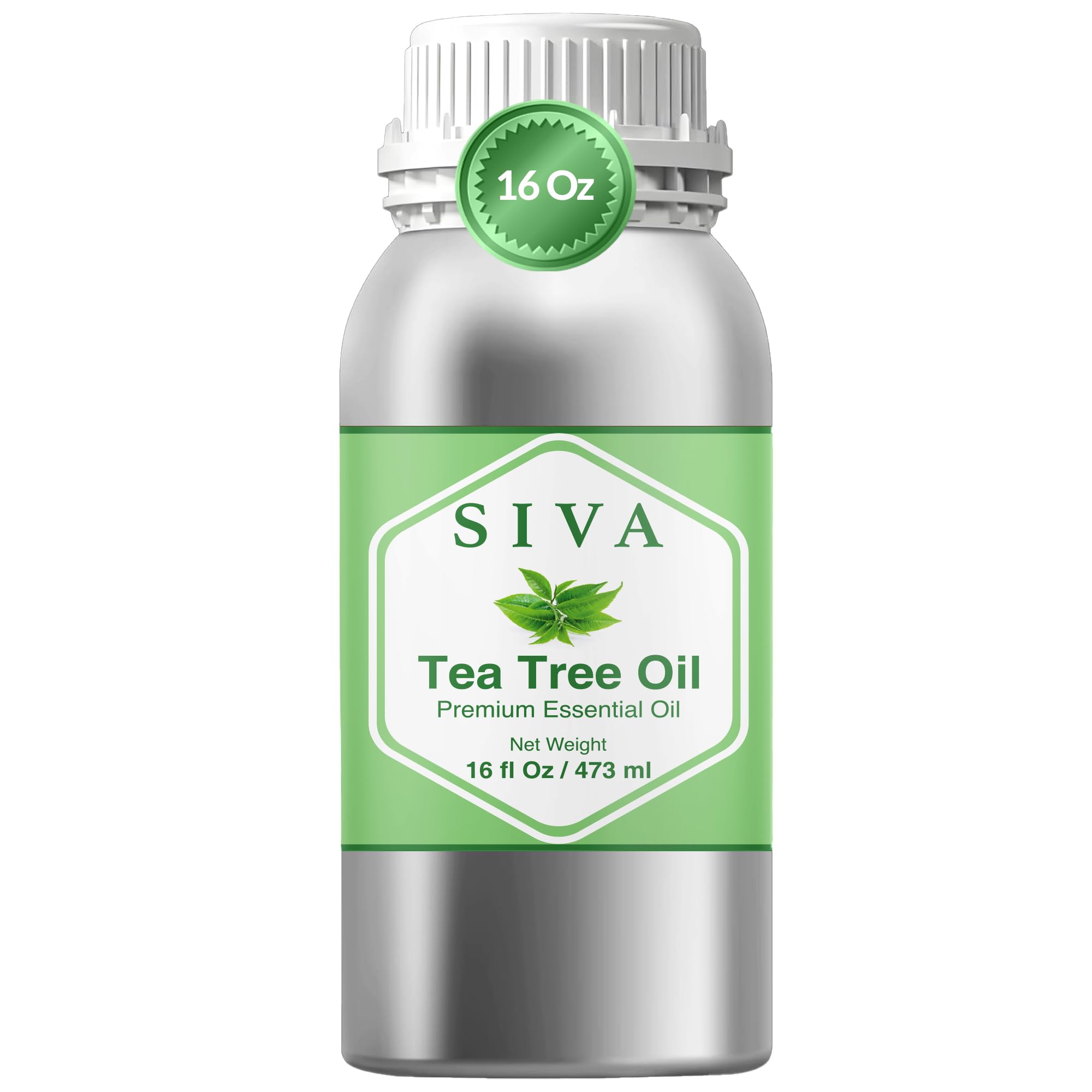 SIVA Tea Tree Oil 16oz bottle ready for diffusion and skin care