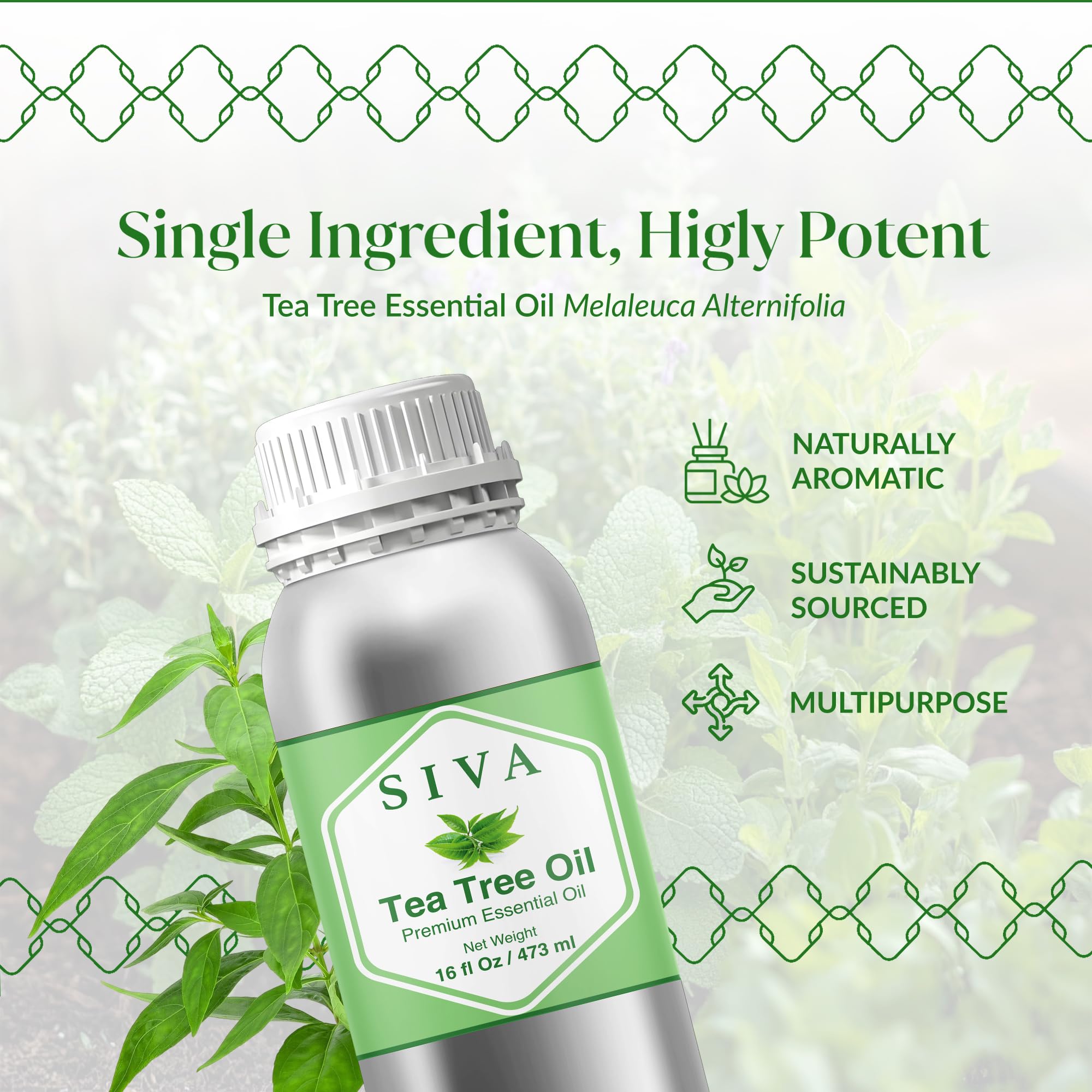 Diluting SIVA Tea Tree Oil for facial and skin care routines
