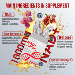 Sizyok PQQ and quercetin support mitochondrial energy and focus.