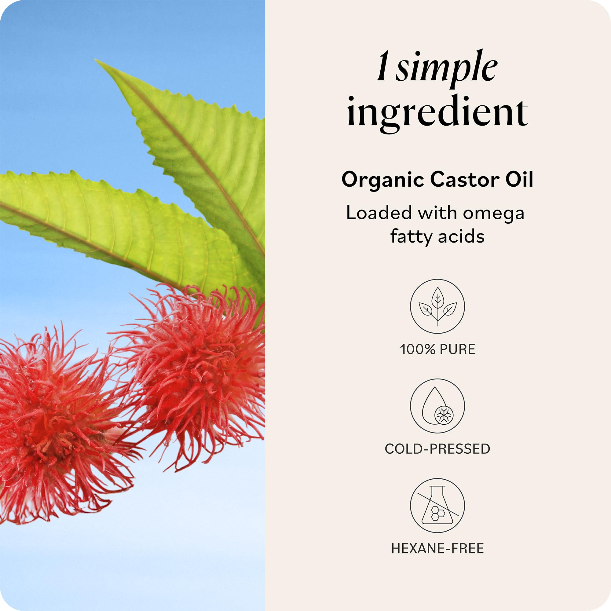  conditioning for eyelashes and brows with Sky Organics Castor Oil.