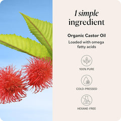  conditioning for eyelashes and brows with Sky Organics Castor Oil.