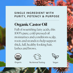 Sky Organics castor oil for hair application conditions roots and strands.