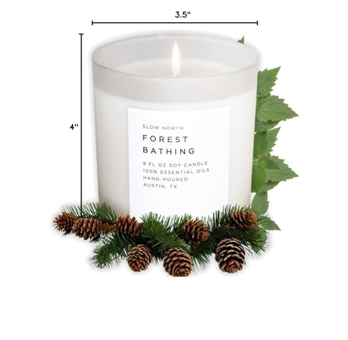 Slow North Forest Bathing Candle reusable frosted jar for future use