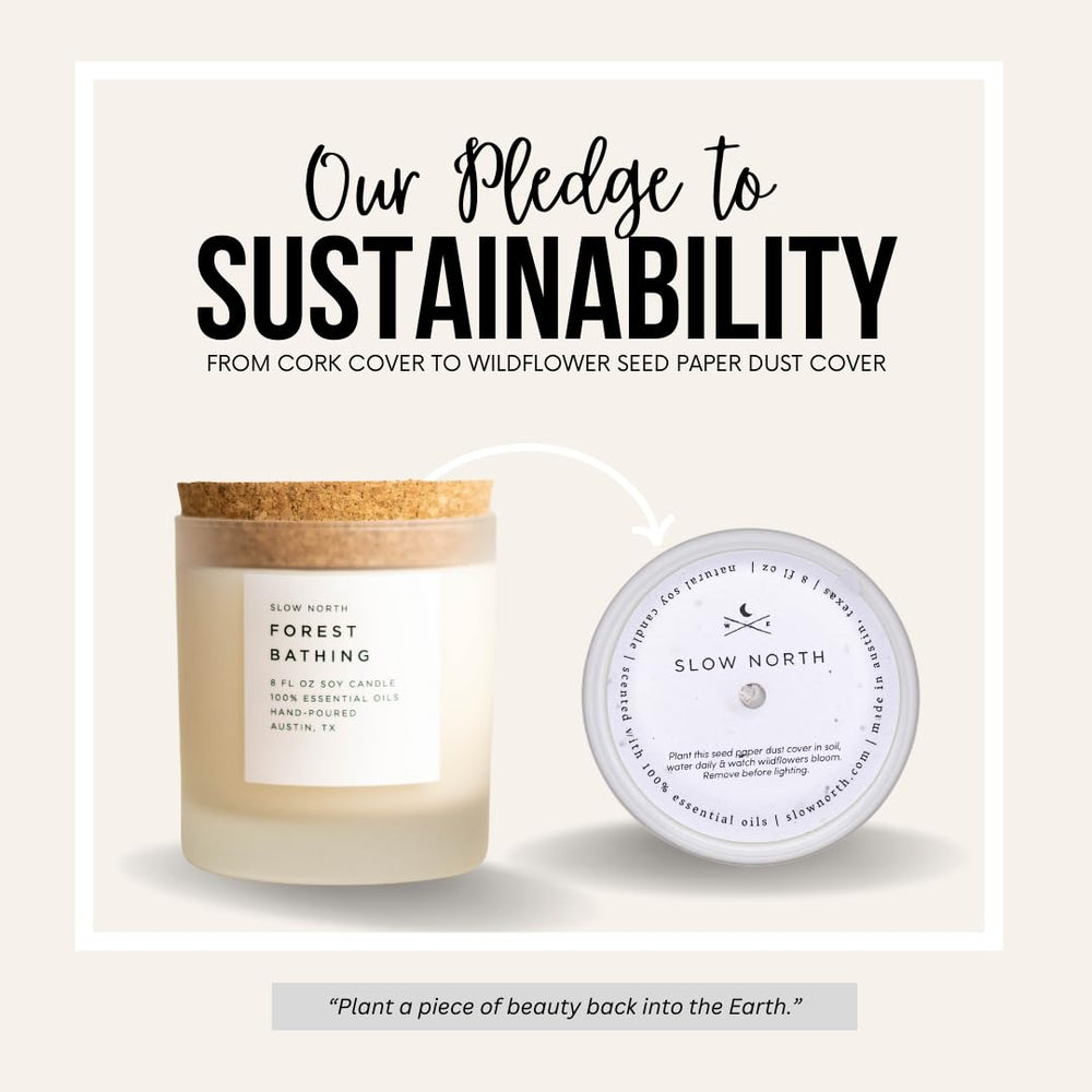Slow North Forest Bathing Candle scent profile evokes spring in any room