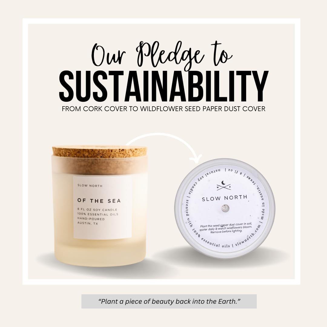 Slow North of the Sea candle with aromatic oil blend refreshing your space.