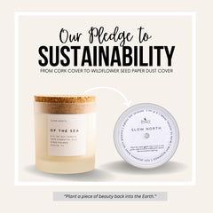 Slow North of the Sea candle with aromatic oil blend refreshing your space.