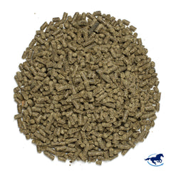 Pouring MSM Pellets into feed for easy daily administration.