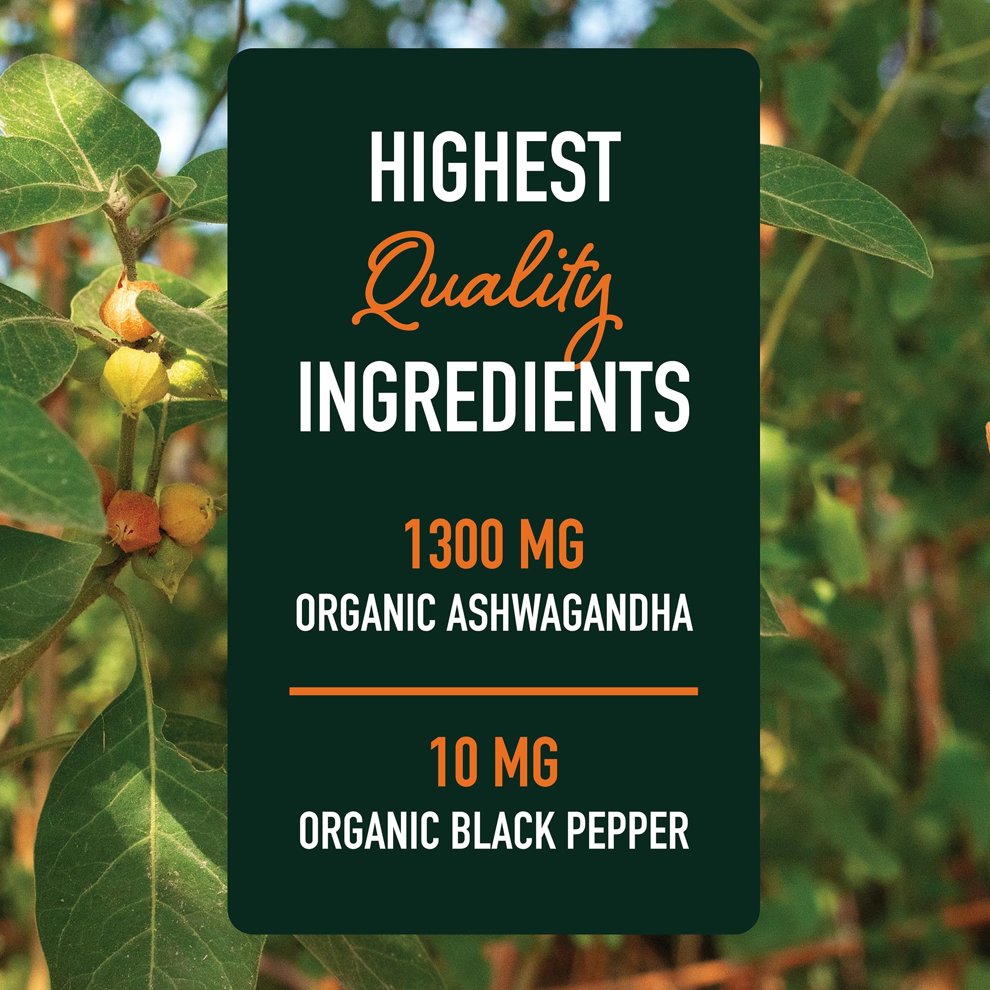 Envase sostenible de SMNutrition Ashwagandha para almacenamiento seguro