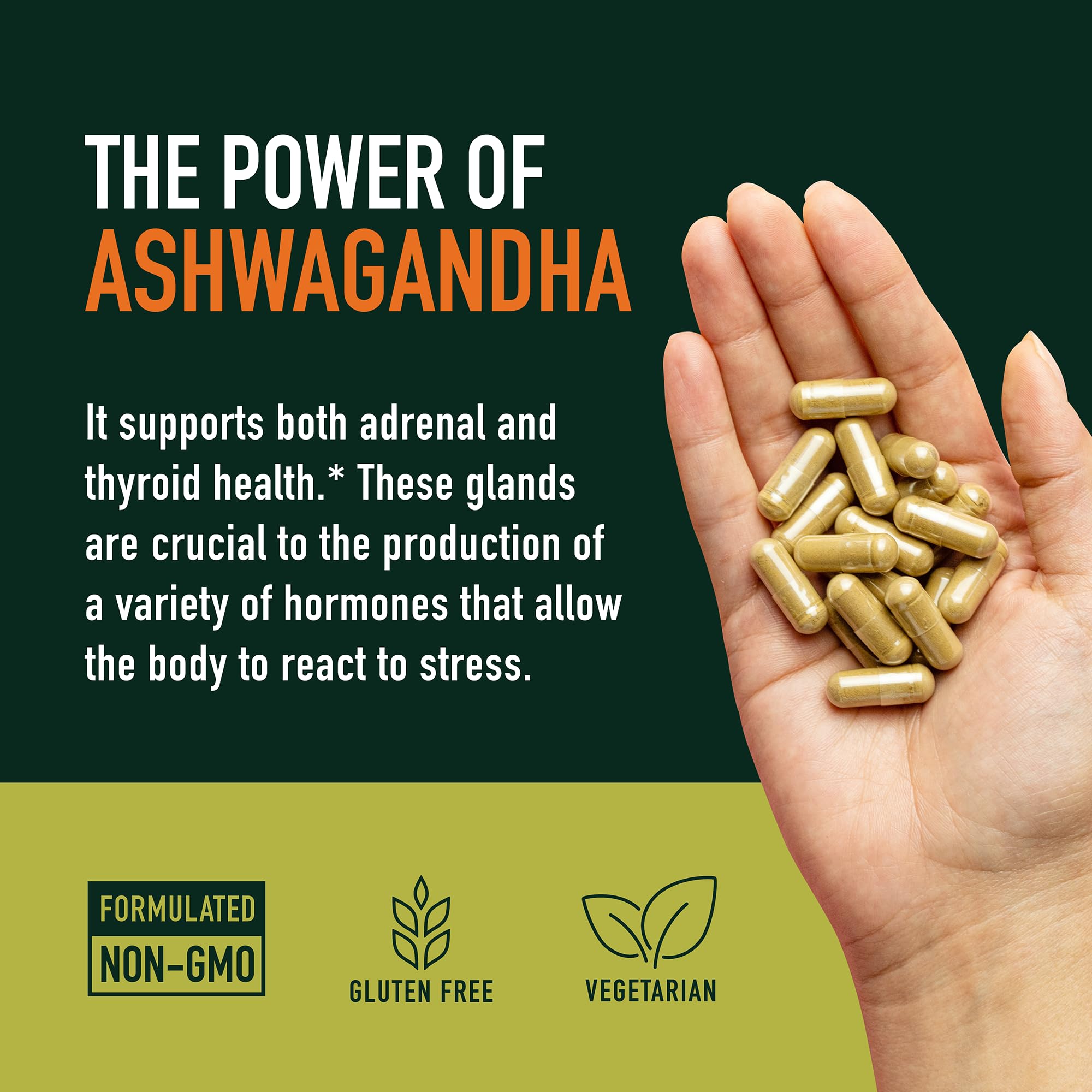 Uso diario de SMNutrition Ashwagandha, botella lista para tu mañana