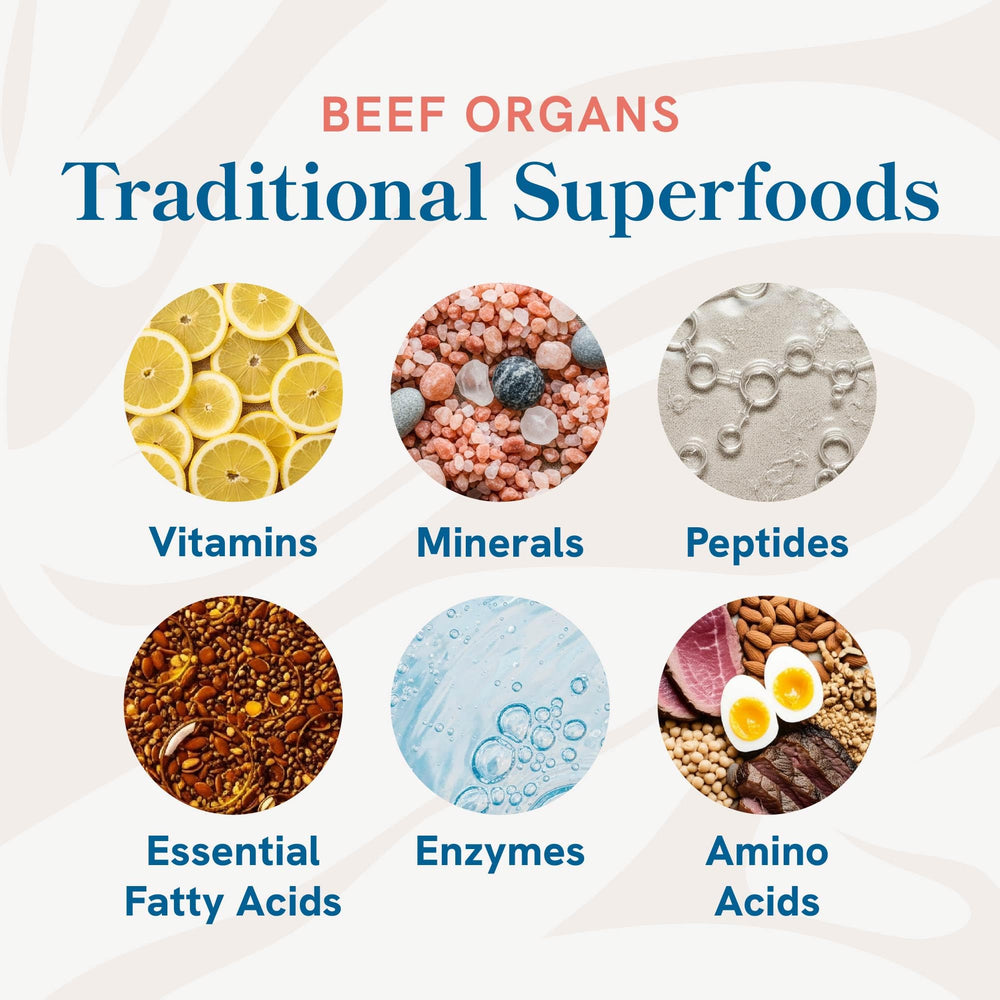 SMNutrition beef organ supplement heart focus for sustained vitality in daily routine.