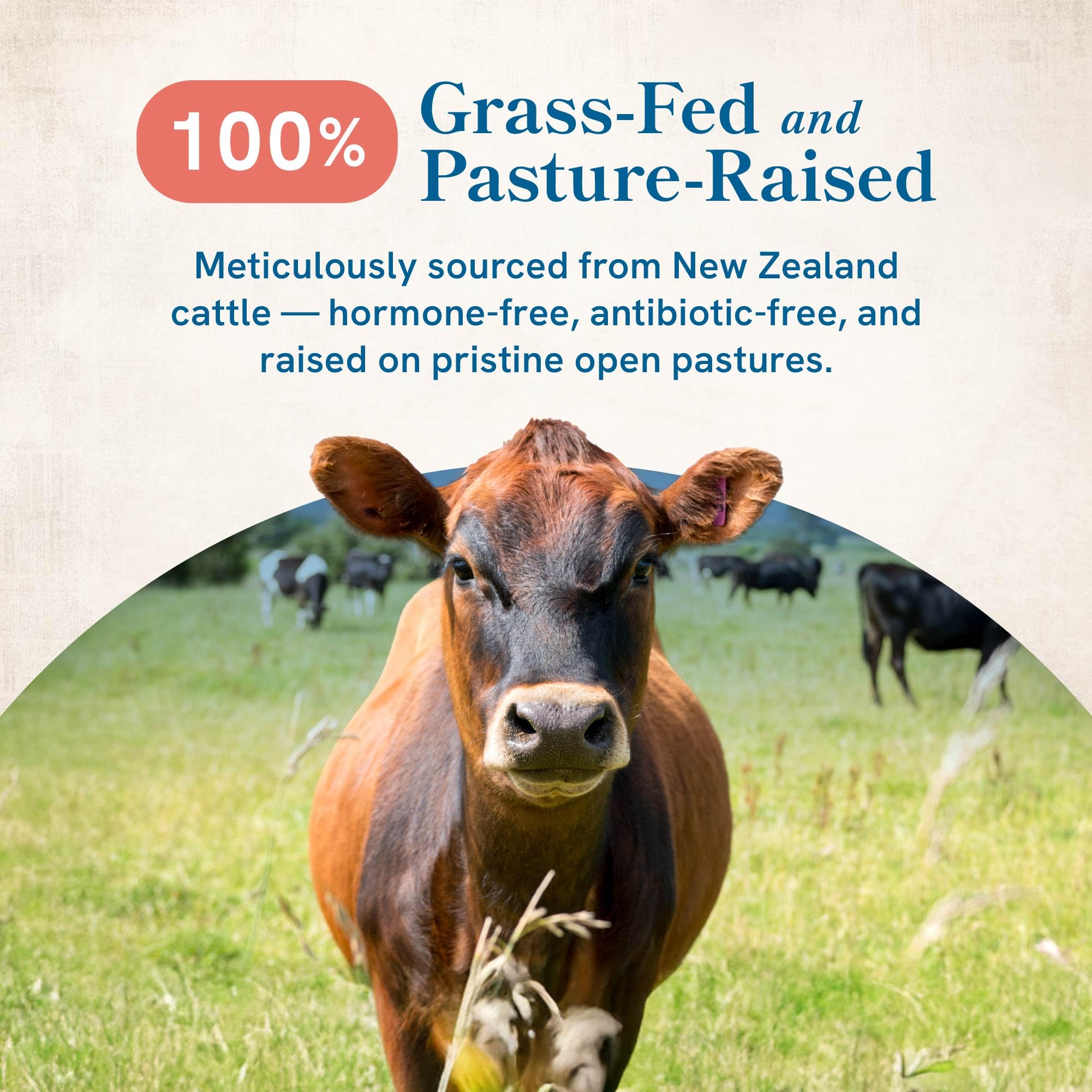 SMNutrition beef organ supplement spleen focus with diverse nutrient profile.