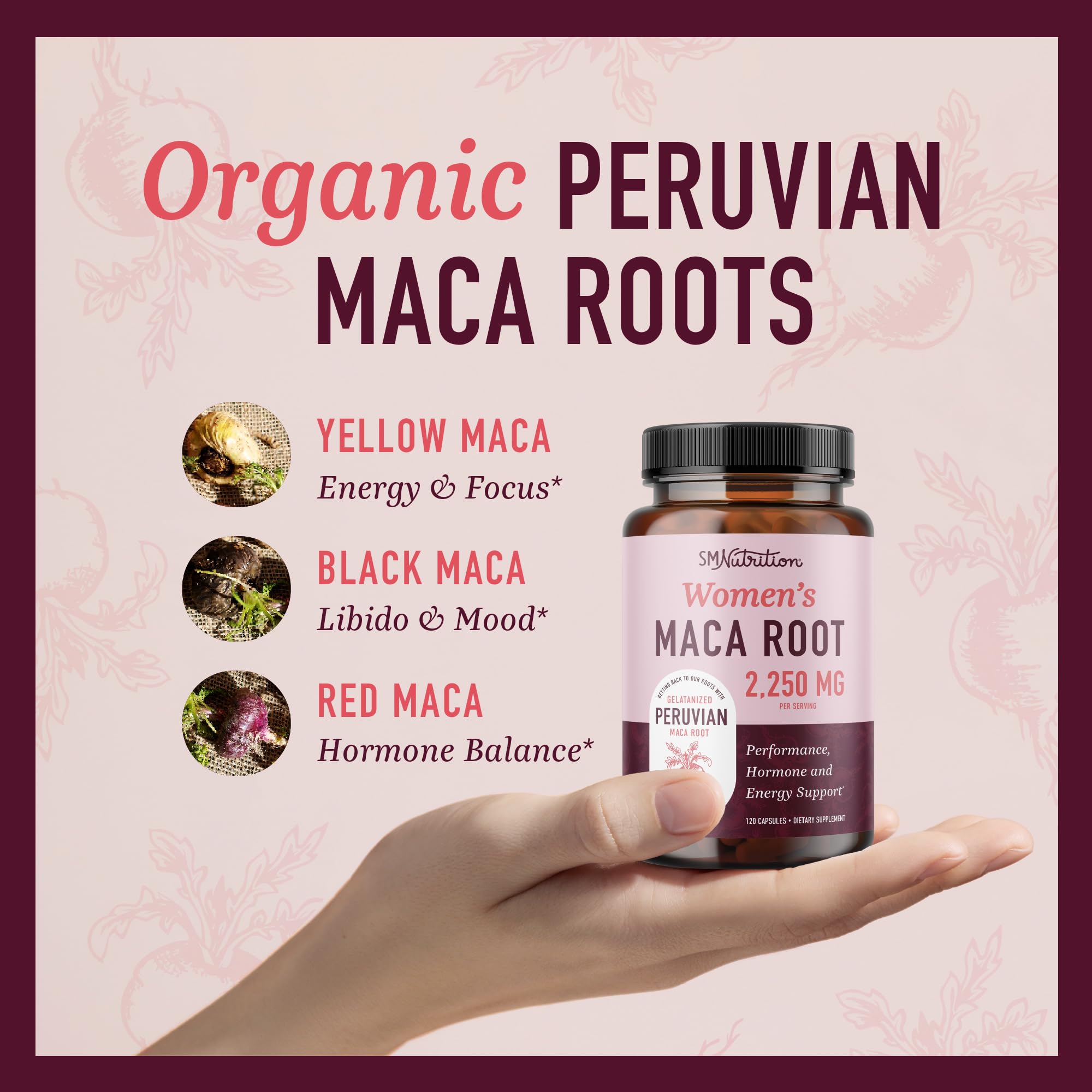 SMNutrition gelatinized Peruvian maca image highlighting potency and digestion.