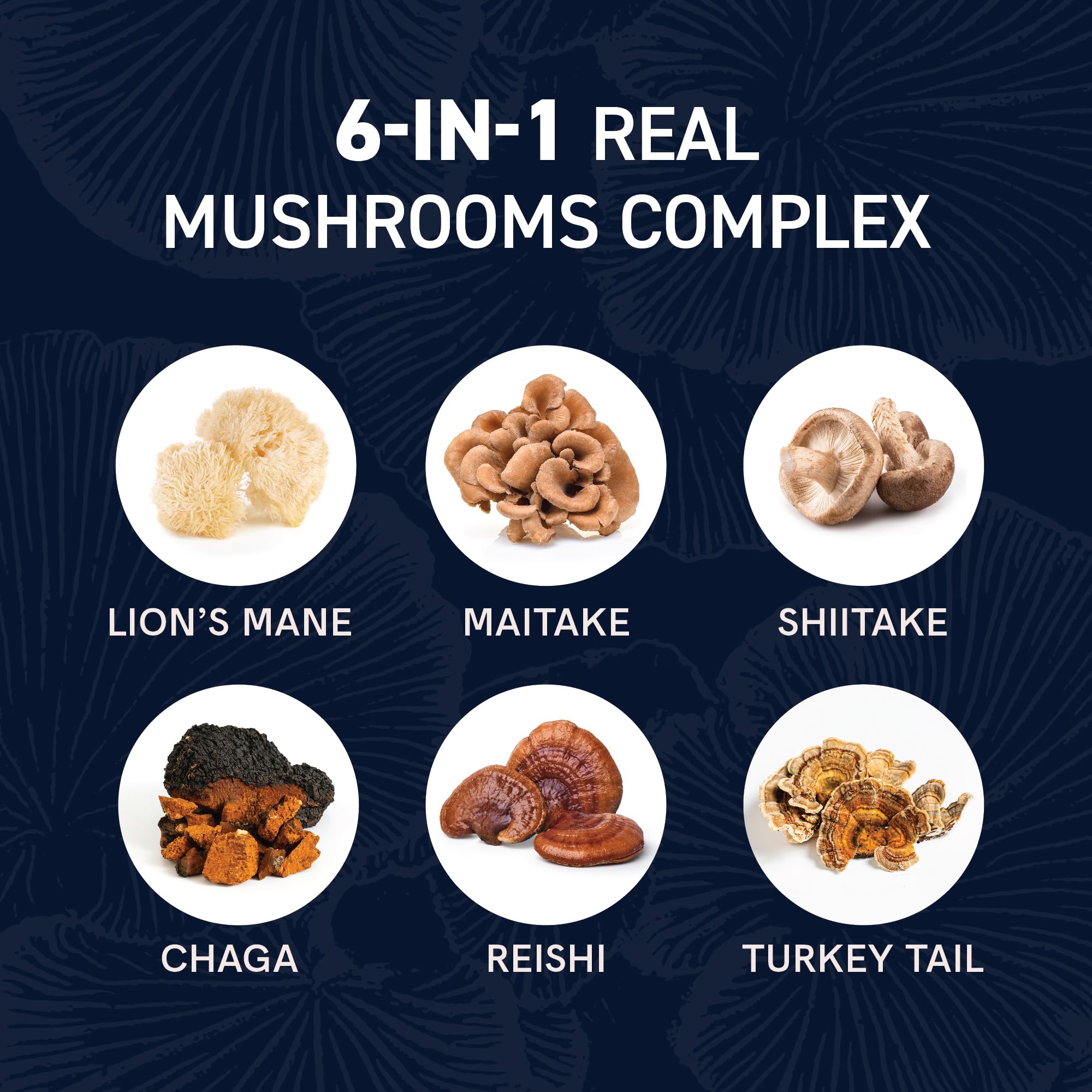 SMNutrition Lions Mane closeup highlighting mental clarity support.