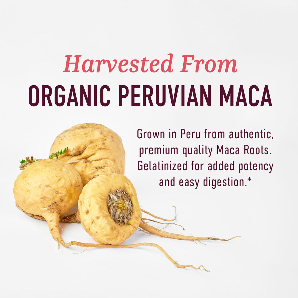 SMNutrition maca with black pepper visual emphasizing enhanced absorption.
