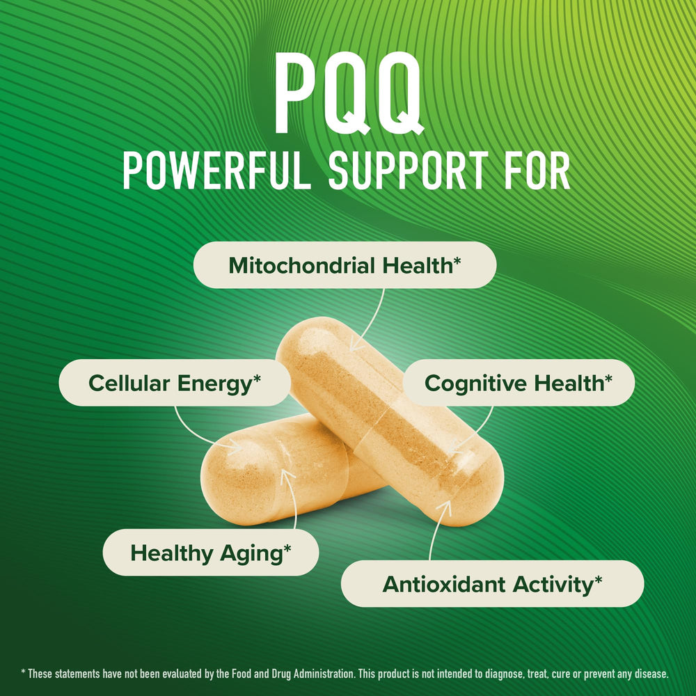 SMNutrition PQQ capsules on white, third-party tested non-GMO option for cognitive support.