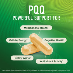 SMNutrition PQQ capsules on white, third-party tested non-GMO option for cognitive support.