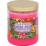 Smoke Odor Exterminator three-pack display candle set ready to refresh multiple rooms.