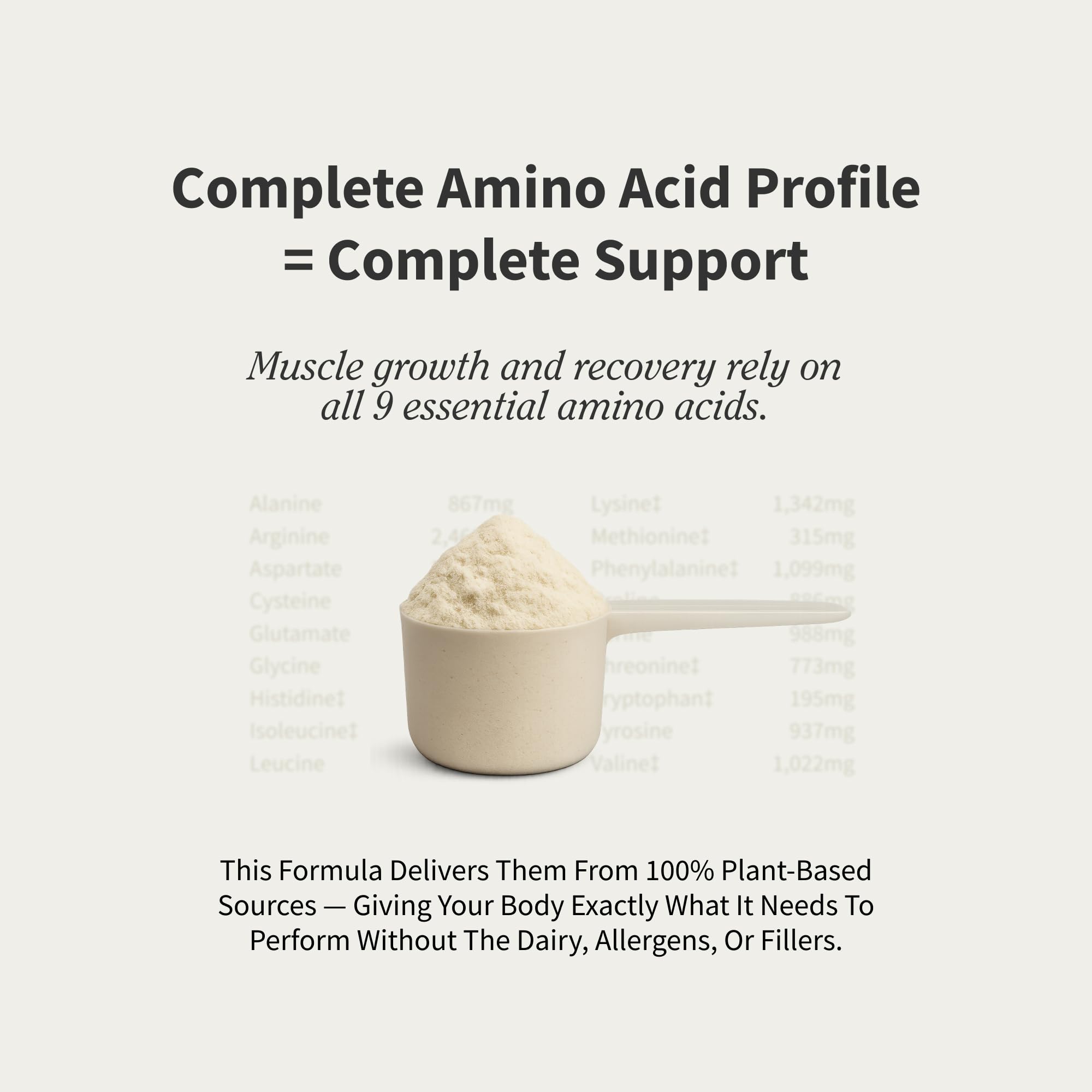 Snap Supplements plant-based protein powder with clean label and no artificial sweeteners.