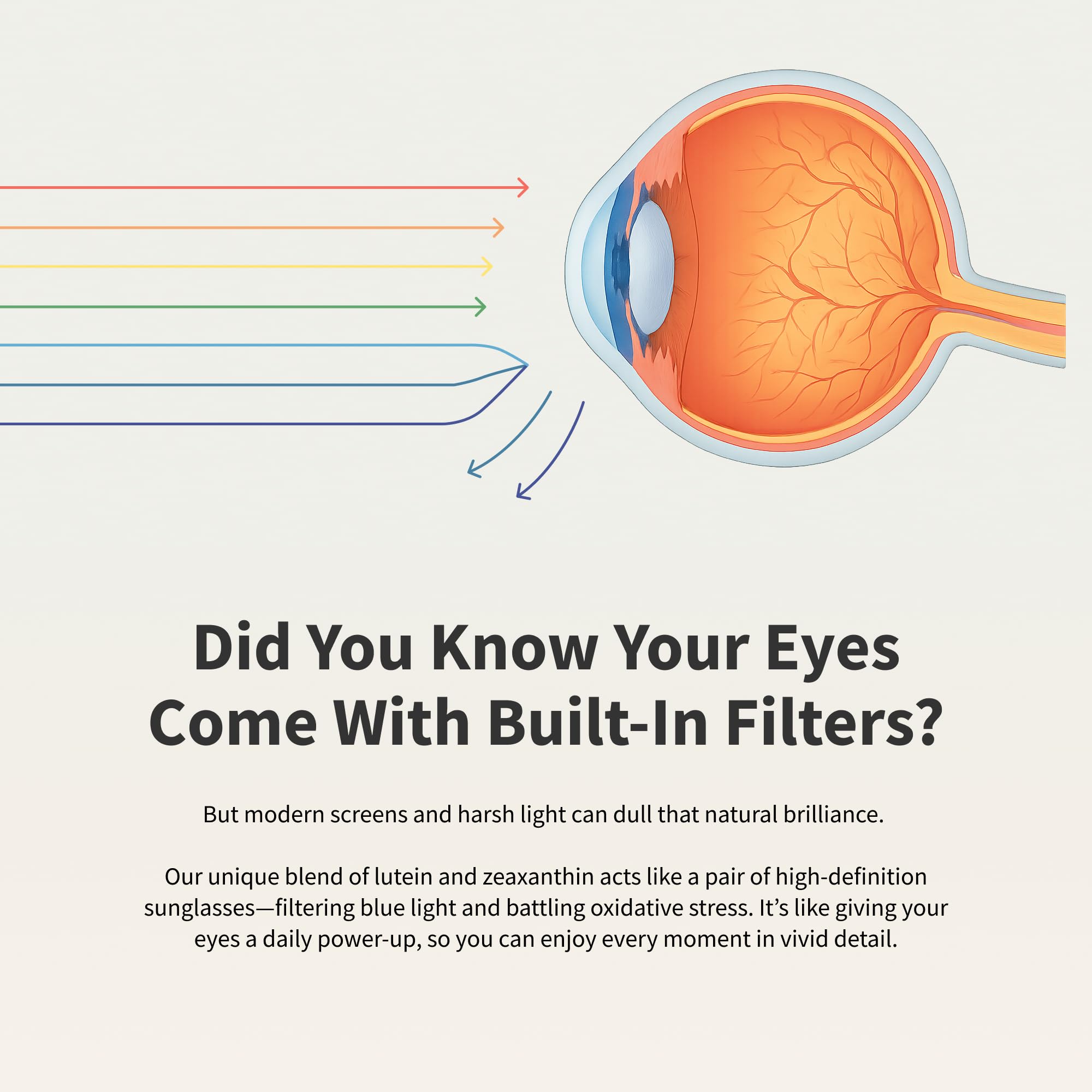 Snap Supplements Eye Health bilberry-lycopene ingredients image highlights antioxidant blend for eye wellness.
