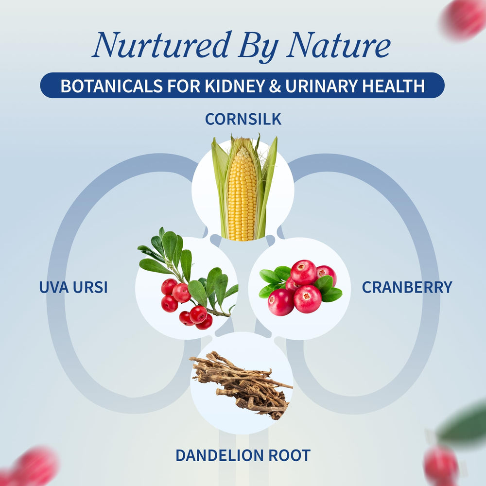 Snap Supplements Kidney Health vegetarian capsules for daily wellness routines