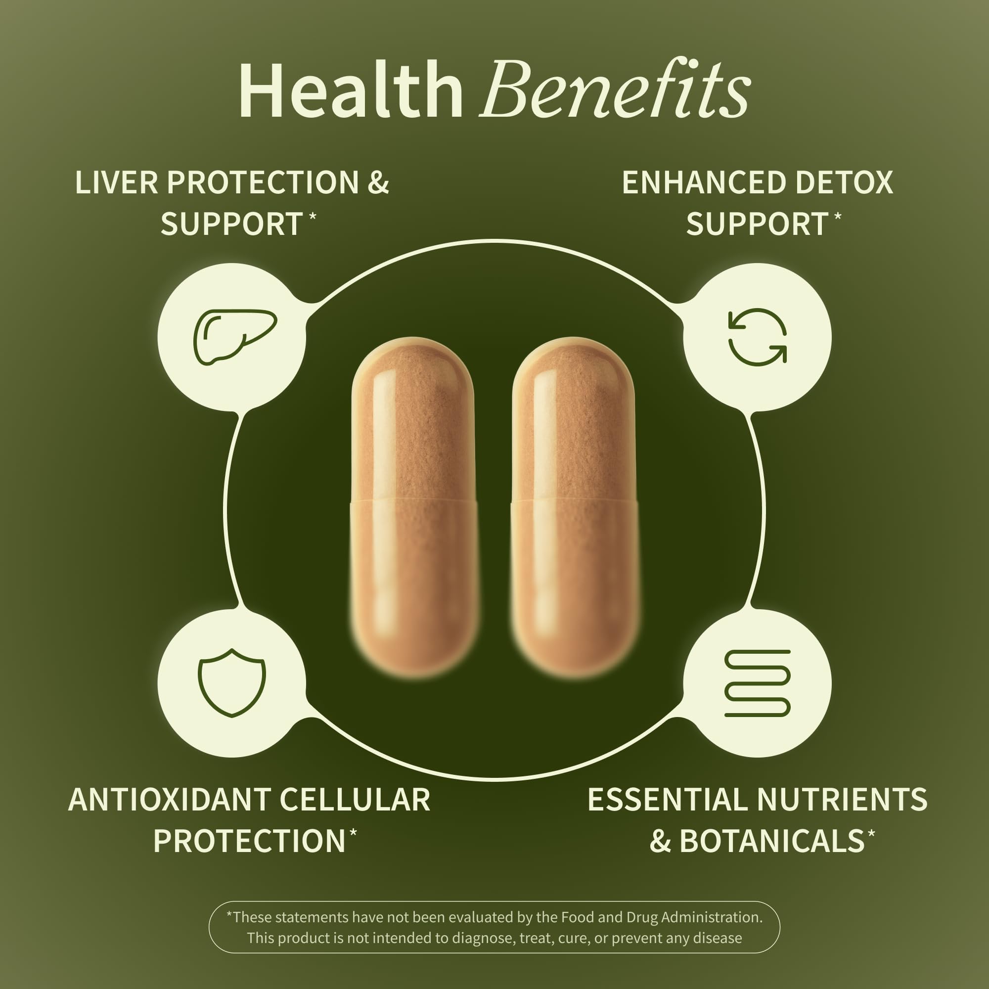 Snap Supplements Liver Health ingredient scene highlighting artichoke component