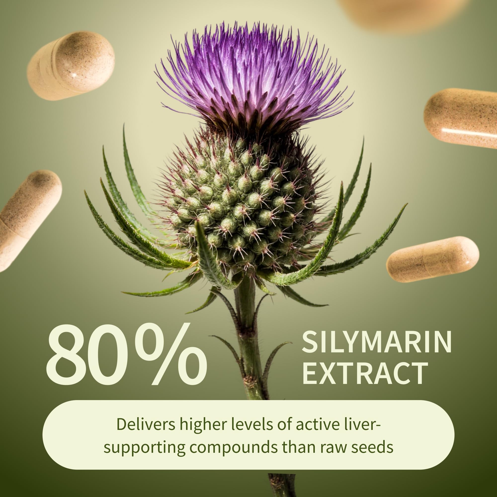 Snap Supplements Liver Health ingredient scene featuring milk thistle and turmeric