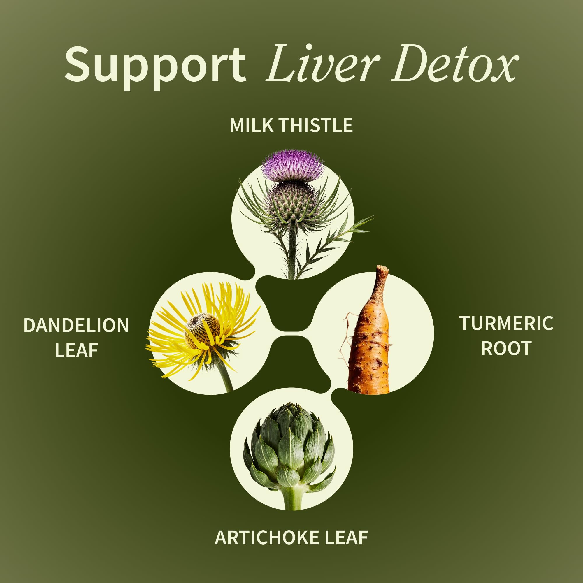 Snap Supplements Liver Health label close-up with artichoke and antioxidant notes