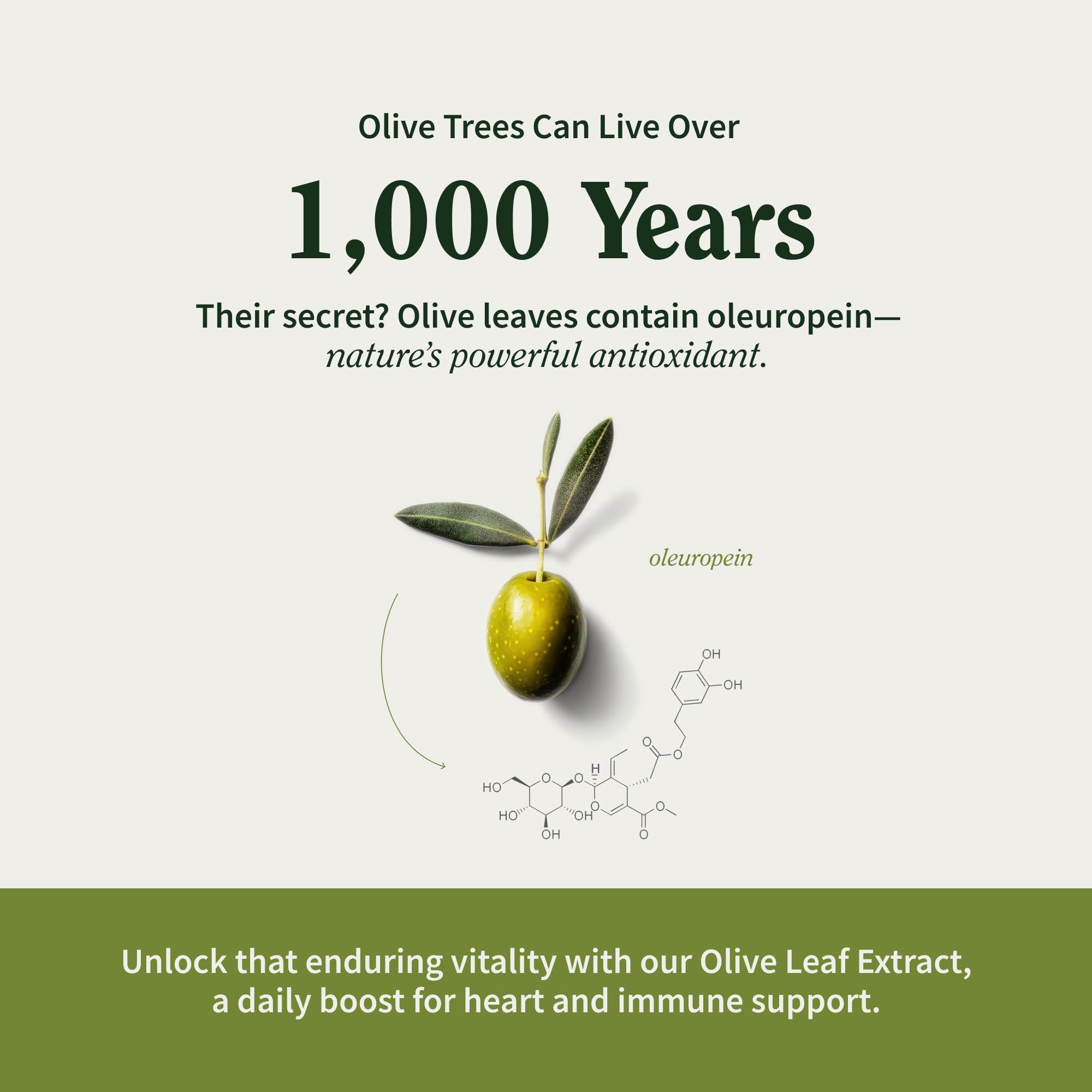Snap Supplements Olive Leaf Extract packaging box displays convenient one-month supply.