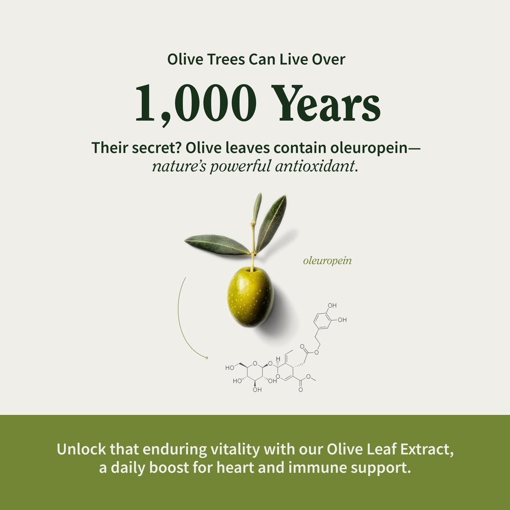 Snap Supplements Olive Leaf Extract packaging box displays convenient one-month supply.