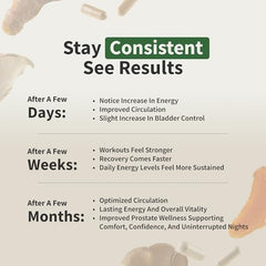 Snap Supplements Prostate Health ingredients closeup showing nettle root and plant sterols