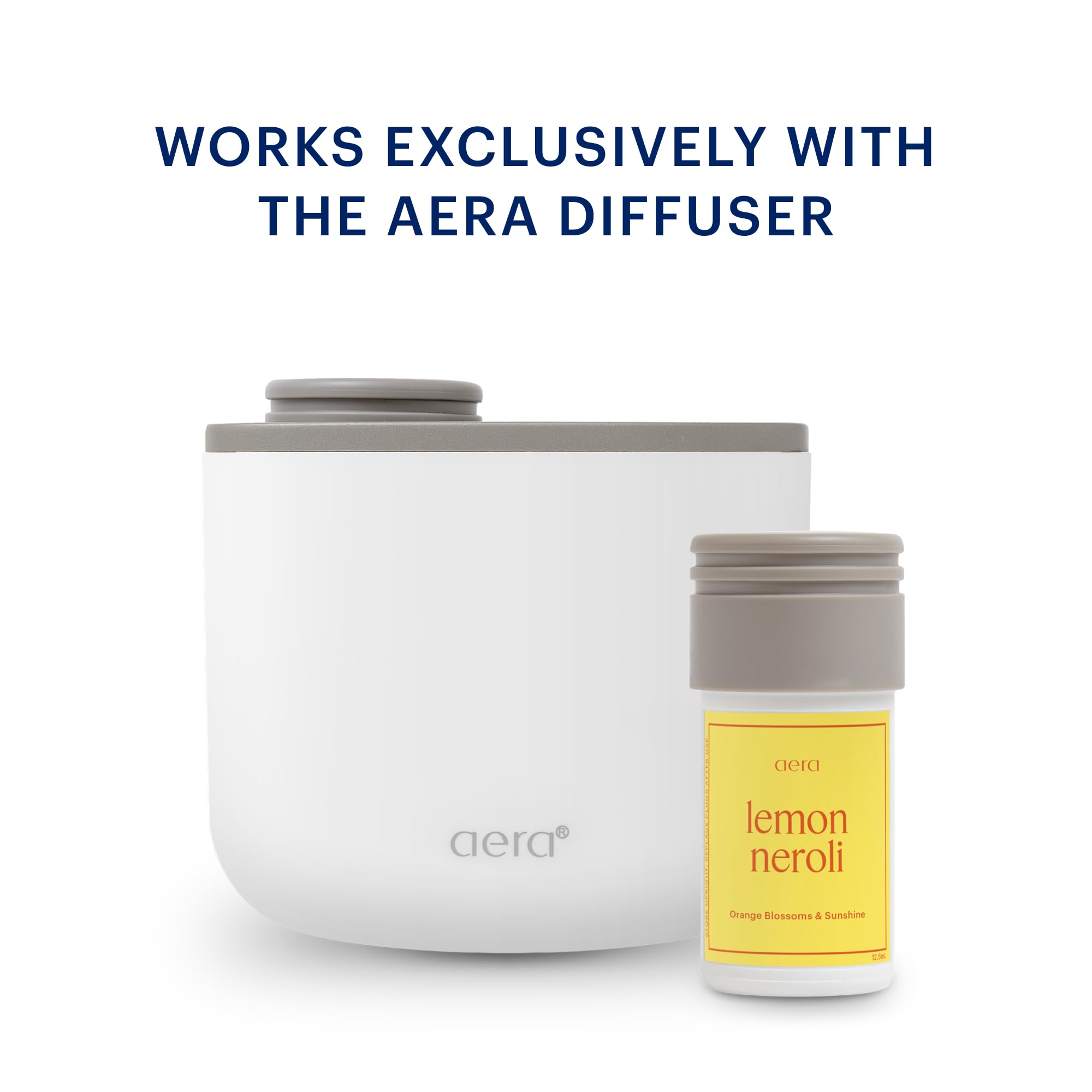 Soft wood and musk base notes forming a warm, grounding foundation