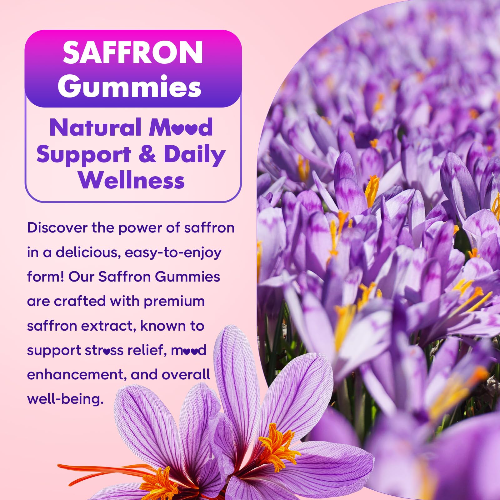 Softbear saffron gummies provide calming support for daily mood.