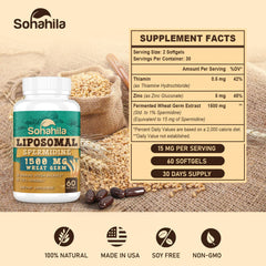 Sohahila liposomal absorption graphic shows enhanced bioavailability for cellular uptake.