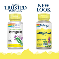 SOLARAY Astragalus Root capsules ready for daily immune support.